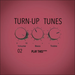 Turn-Up Tunes, Vol 02