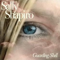 Guarding Shell