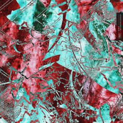 Cracked Plates