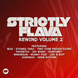 Strictly Flava Rewind, Vol. 2