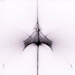 Reverie