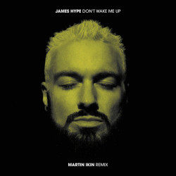 Don't Wake Me Up (Martin Ikin Mix)