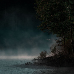 The Stillness