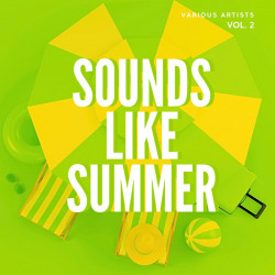Sounds Like Summer, Vol. 2