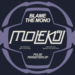 Pulse Persisters EP