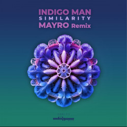 Similarity (Mayro Remix)