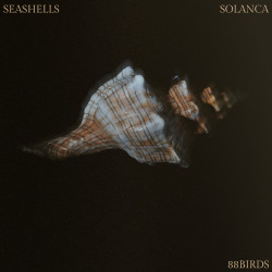 Seashells