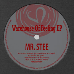 Warehouse Of Feeling EP