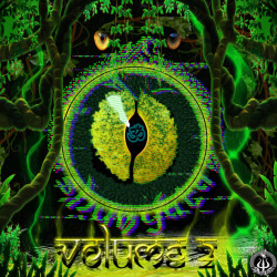 Shunyata (Volume Ⅱ)