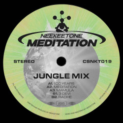 Meditation (Jungle Mixes)