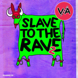Slave To The Rave #2