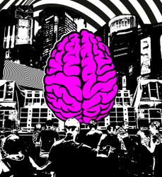 Reclaim Your Mind