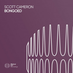 Bongoed