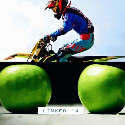 APPLE DRIVER