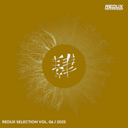 Redux Selection, Vol. 6 / 2025