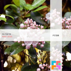 FG Top 10: May 2025