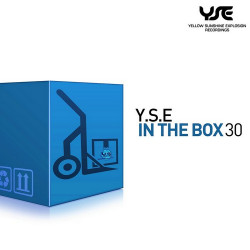 Y.S.E in the Box, Vol. 30