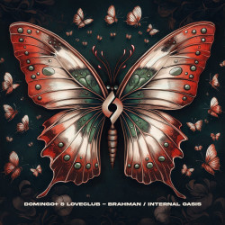 Brahman / Internal Oasis