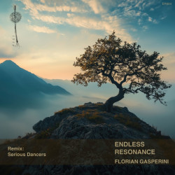 Endless Resonance