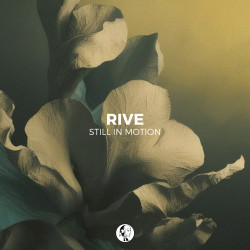 Still In Motion EP