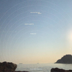 Days in the Sun (Forester Remix)