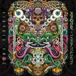 Soma Circuit