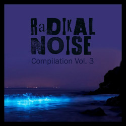 Radikal Noise Compilation Vol. 3
