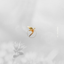 Momentum IV