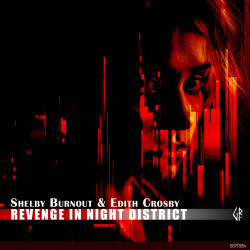 Revenge In Night District
