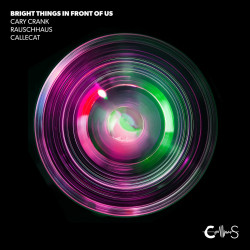 Bright Things in Front of Us (Callecat Remix)
