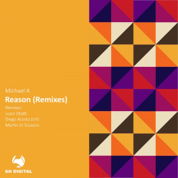 Reason (The Remixes)
