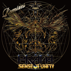 Sense of Unity Remixes