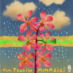  Amazizi