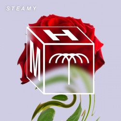 Steamy