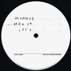 Analog Consciousness