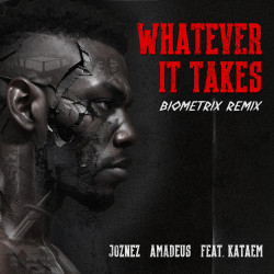 Whatever it Takes [Biometrix Remix]