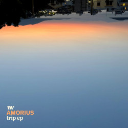 Trip