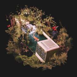 Digital Nature