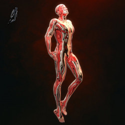 Capsule