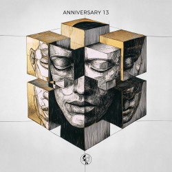 Steyoyoke Anniversary, Vol. 13