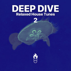 Deep Dive 2
