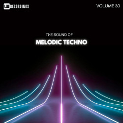 The Sound Of Melodic Techno, Vol. 30