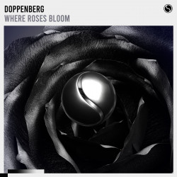 Where Roses Bloom