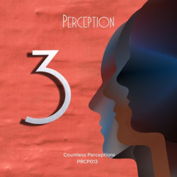 Countless Perceptions 3
