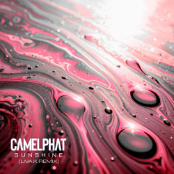 Sunshine (Liva K Remix)