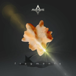 Fragments
