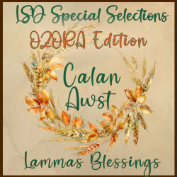 LSD Special Selections Vol. 16 : CALAN AWST : Ozora Edition