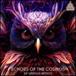 Echoes of the Cosmos