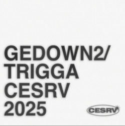 GEDOWN2 / TRIGGA