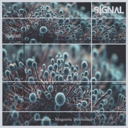 Magnetic Innocence